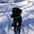 Lisa Holzbach Webb's profile image