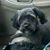 Judy Withers Abel's profile image