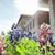 Linda Woodruff's profile image
