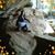 Janine Lombardo's profile image