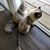 Laurie Weaver's profile image