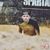 Chris Nasadowski's profile image