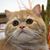 Cedar Canton Parizo's profile image
