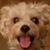 Alice Hall's profile image