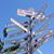 Ingrid Aliet Gass's profile image
