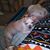 Donna Citro Phillips's profile image