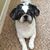 Brenda Moore's profile image