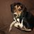Becky Manis's profile image