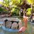 Terri Lynn Luster's profile image