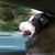 Thomas Abbott's profile image