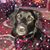 Pattie Polizzi's profile image