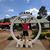 Pat Salerno's profile image