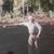 Scott Erickson's profile image