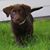T NJ Erntson's profile image