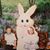 Barbara Devlin Shippie's profile image