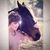 Kimm Wall's profile image