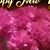 Josefina Venegas's profile image