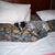 Mnp Pulsipher's profile image