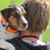 Shelly Love's profile image