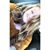 Jillie Irving's profile image