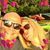 Martin A. Cotter's profile image