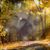 Jamie L Johnson's profile image