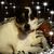 Ann Cahoy Okner's profile image