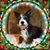 Kathy Muller's profile image