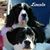 Deb Andrison's profile image