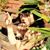 April Tharp Warner's profile image