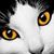 Judith Greenway Timm's profile image