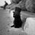 David A. Seymour's profile image