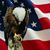 Carolyn Munyan's profile image
