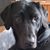 Judith Hart's profile image