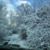 Esther Strouse's profile image