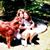 Rebecca H Poole's profile image