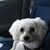 Sandra Hayes Richardson's profile image