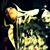 Joan Sanchez's profile image