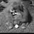 Tammy Jones's profile image