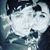 Mary Higgins's profile image