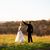 Allison Scarinzi's profile image