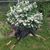 Ashley Schudlich's profile image