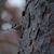David A Brinkman's profile image