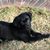 Sonja Crisp Bennett's profile image
