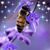 Carmen Wine's profile image