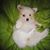 Charlotte Ryland's profile image