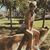 Taylor Chiulli's profile image