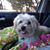 Stacie Stewart Stevenson's profile image