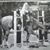 Betty Bennett Beiling's profile image