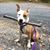 Amy Coffey Bravo's profile image